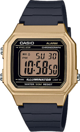 Часы Casio TIMELESS COLLECTION W-217HM-9AVEF