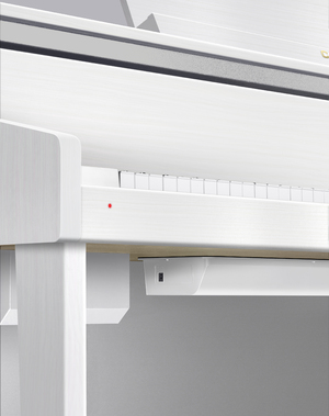 Цифрове піаніно CASIO GP-310WE