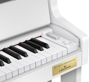 Цифрове піаніно CASIO GP-310WE